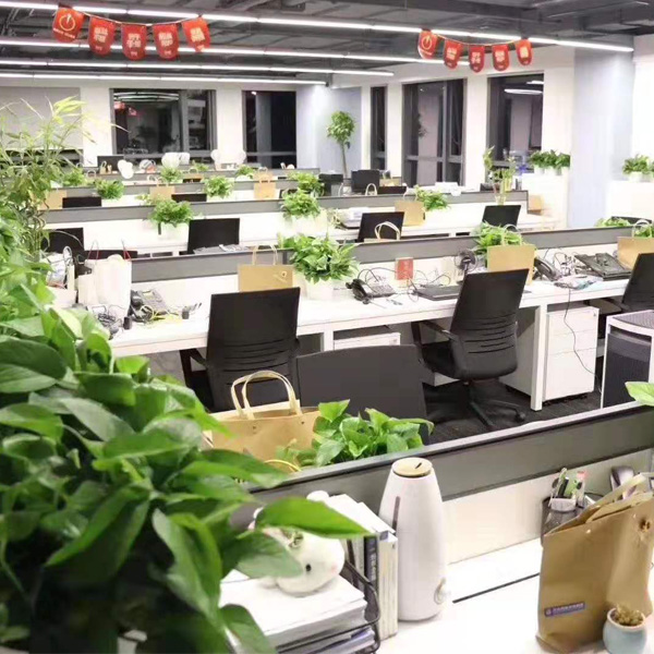 Office Environment-001